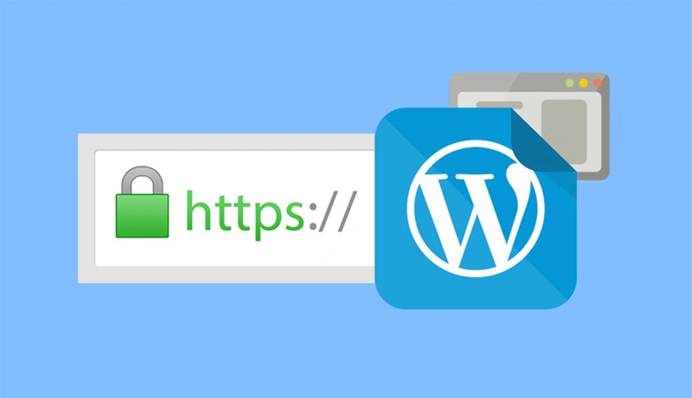 Building A Secure And Compliant WordPress Website With SSL 6 SSL & WordPress