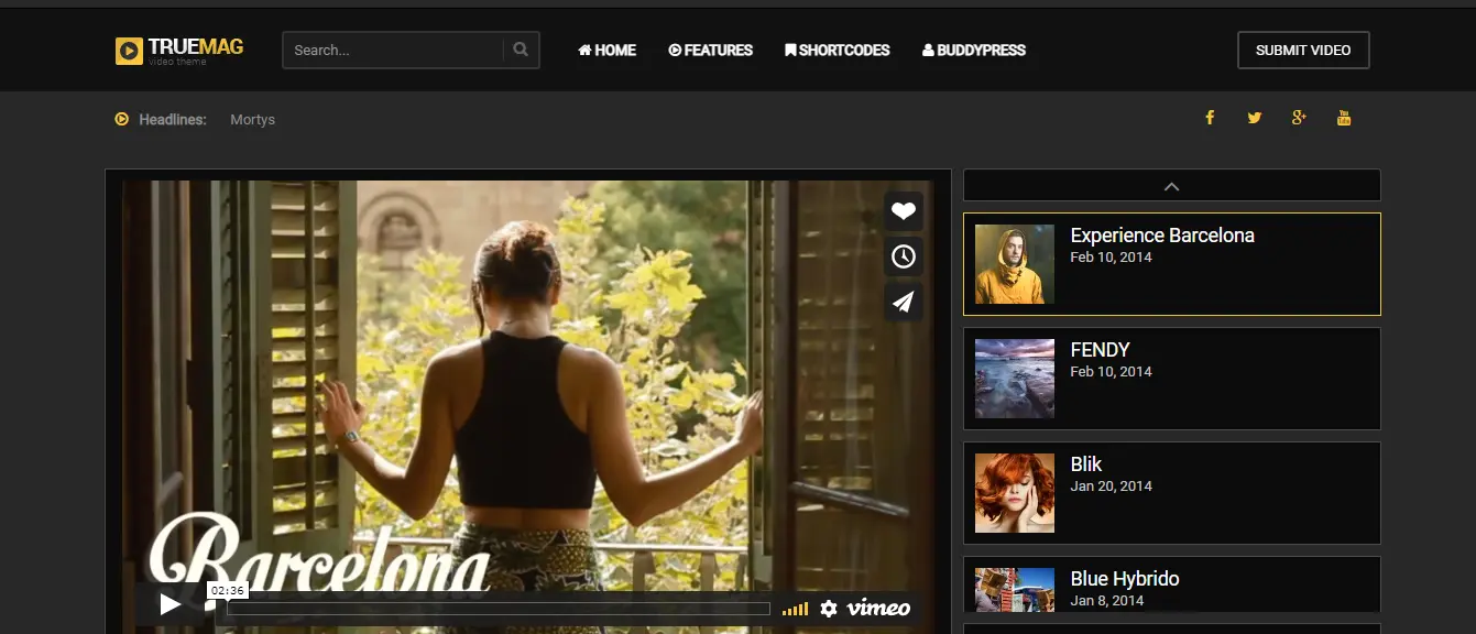 8+ Best WordPress Video Themes 12 True Mag Theme