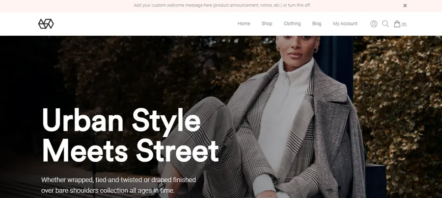 10+ Best eCommerce Website Templates 15 Webify