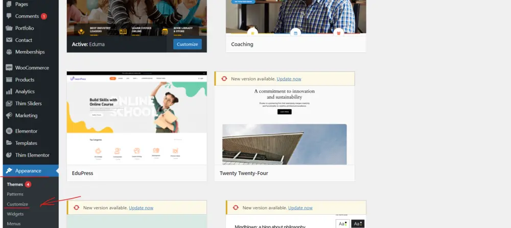 theme customizer WP Admin Customize Theme